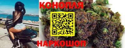 прущий лед Будённовск