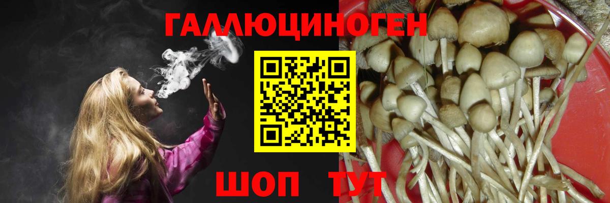 Галлюциногенные грибы MAGIC MUSHROOMS  купить  цена  Псилоцибиновые грибы MAGIC MUSHROOMS  Черкесск  Вход с VPN 